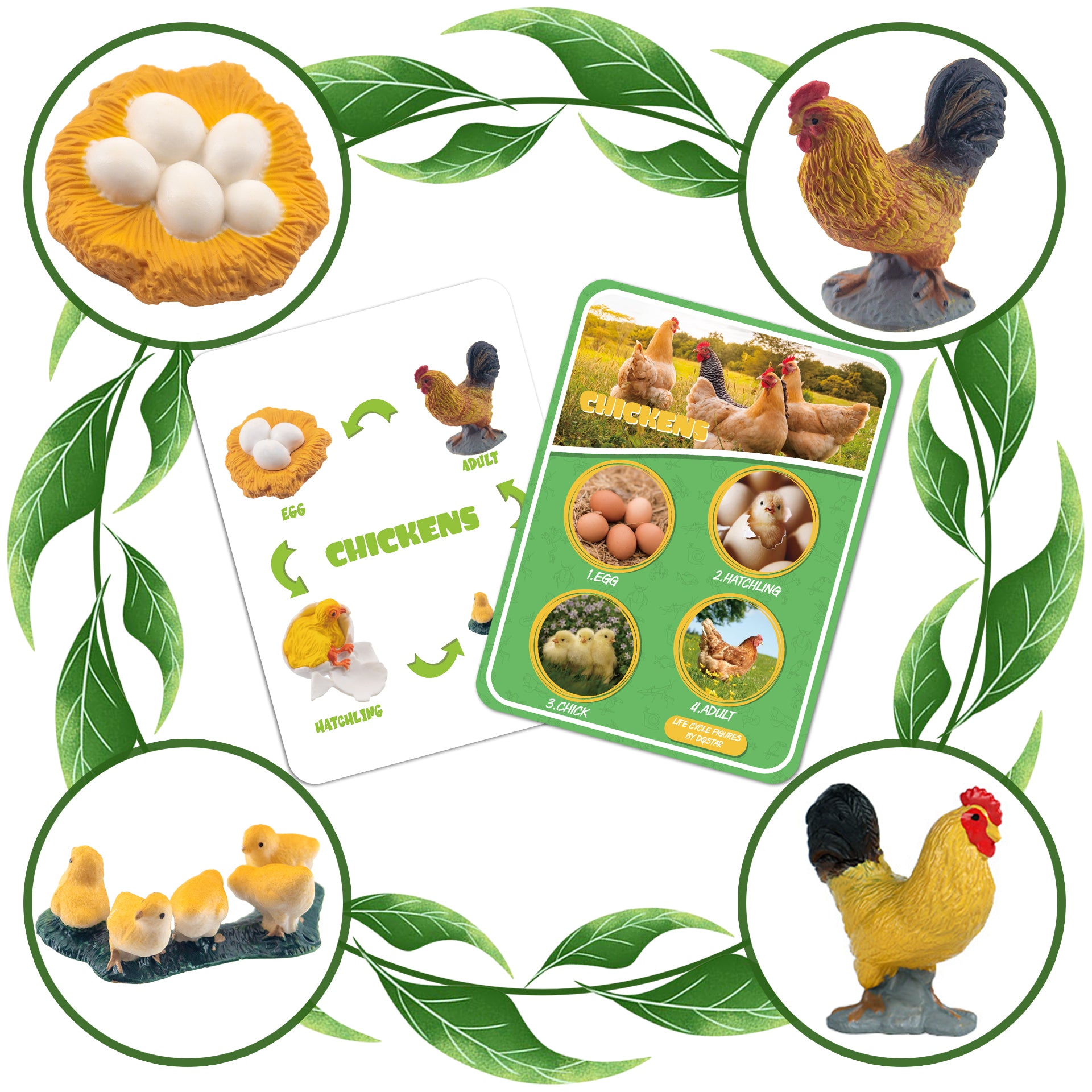 Life Cycle Figures of Frog, Chicken, Sea Turtle, Butterfly, Wasp, Locust, Science Toys kit, Animal Figures for Kids Age 3-12