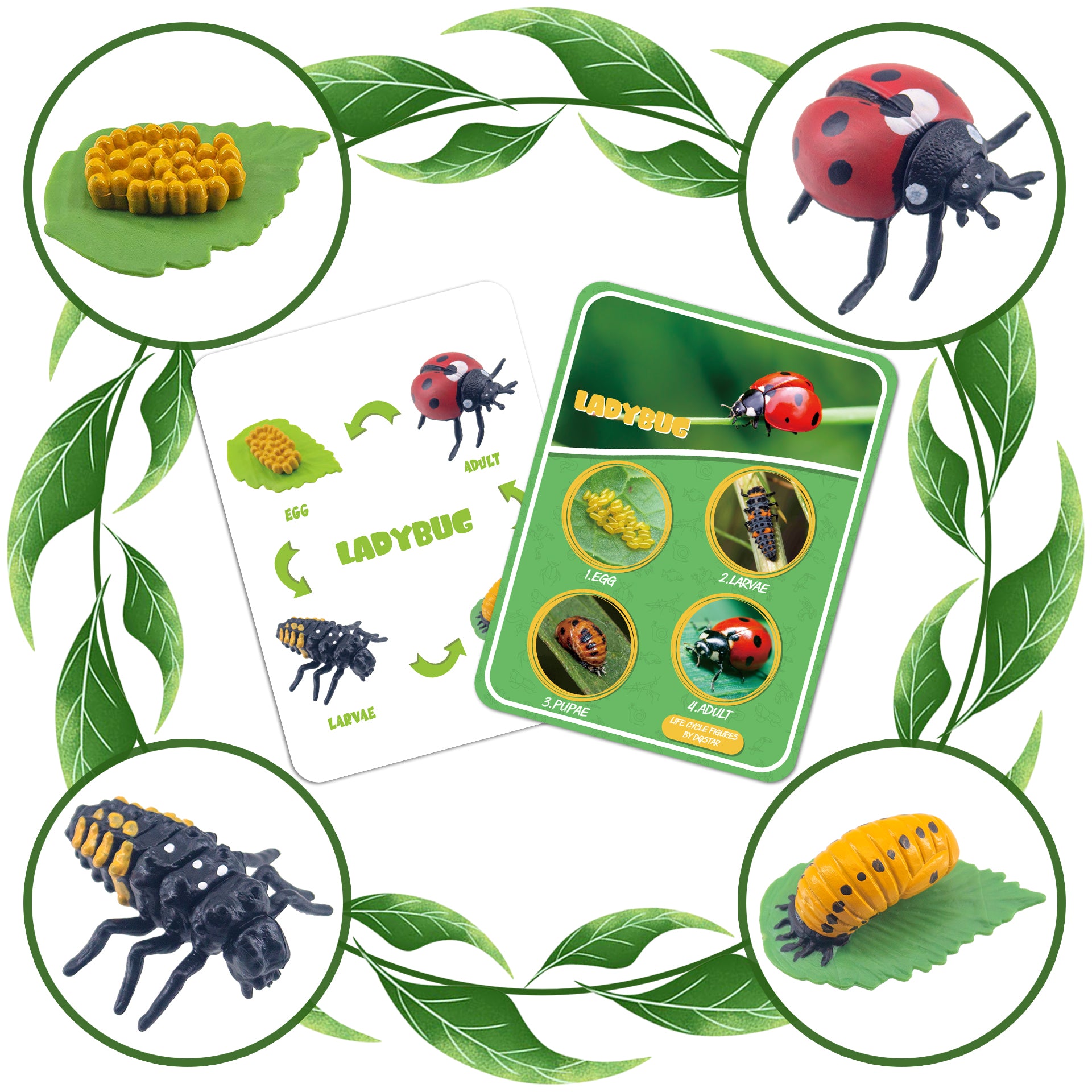 Life Cycle Figures of Frog, Chicken, Sea Turtle, Butterfly, Wasp, Locust, Science Toys kit, Animal Figures for Kids Age 3-12