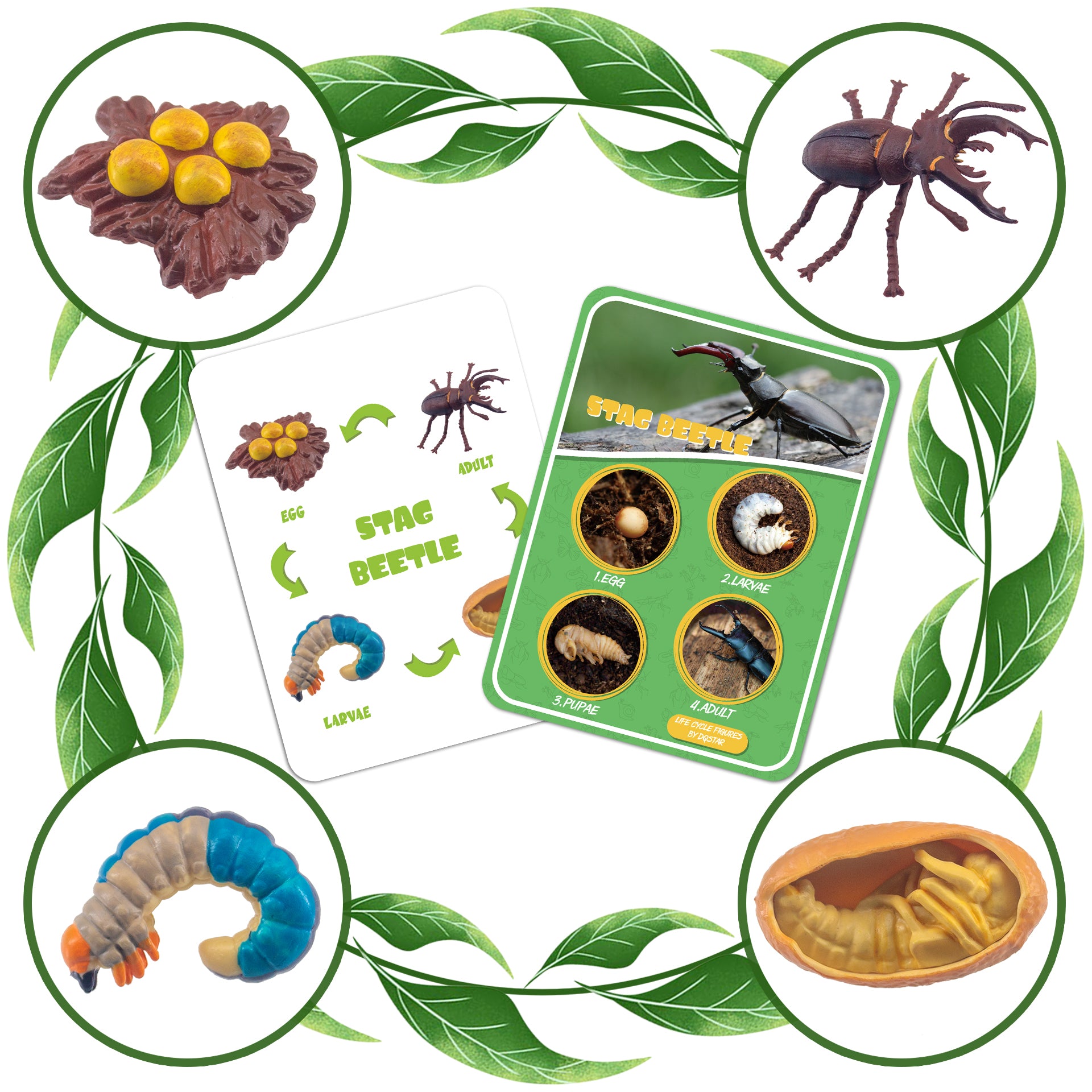 Life Cycle Figures of Frog, Chicken, Sea Turtle, Butterfly, Wasp, Locust, Science Toys kit, Animal Figures for Kids Age 3-12