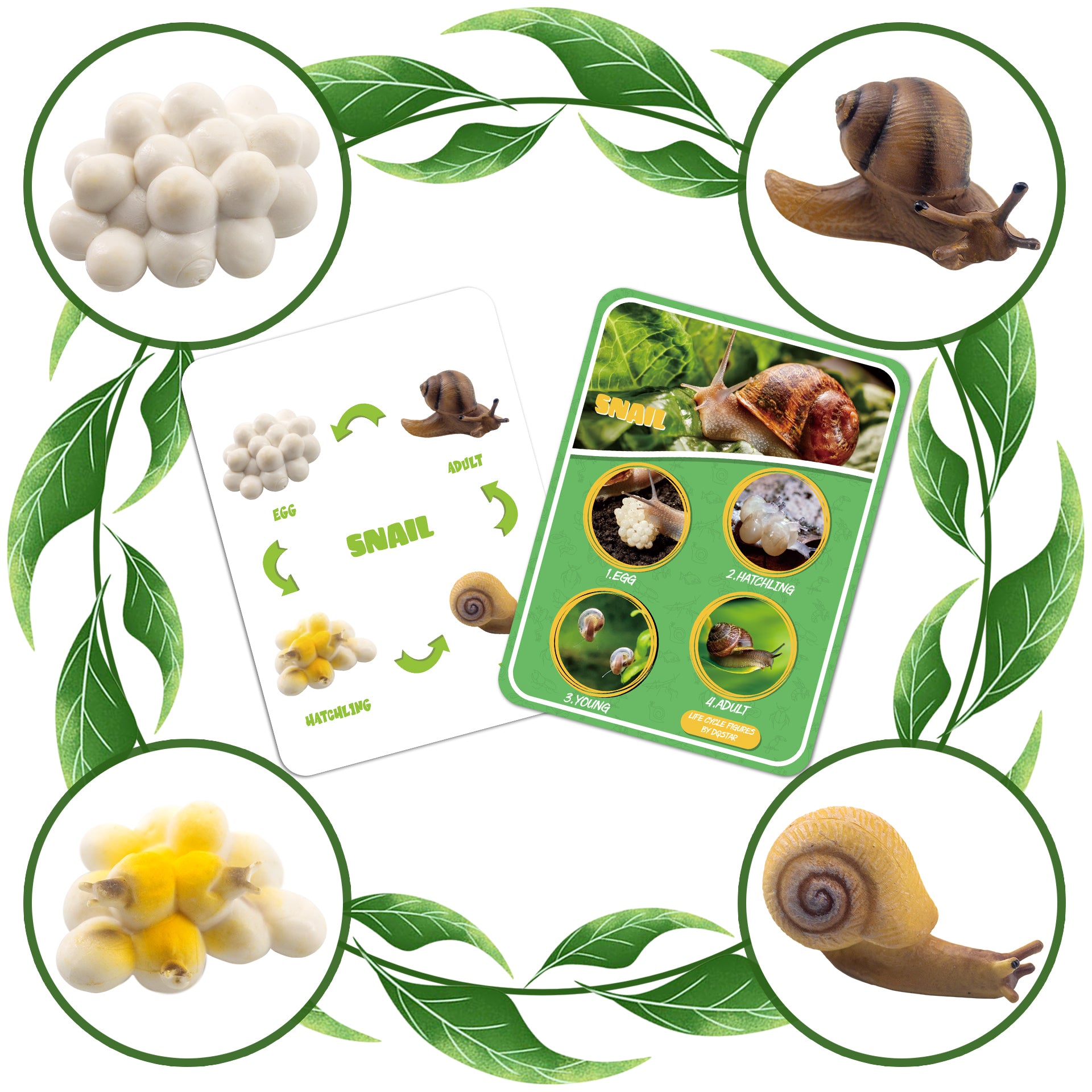 Life Cycle Figures of Frog, Chicken, Sea Turtle, Butterfly, Wasp, Locust, Science Toys kit, Animal Figures for Kids Age 3-12