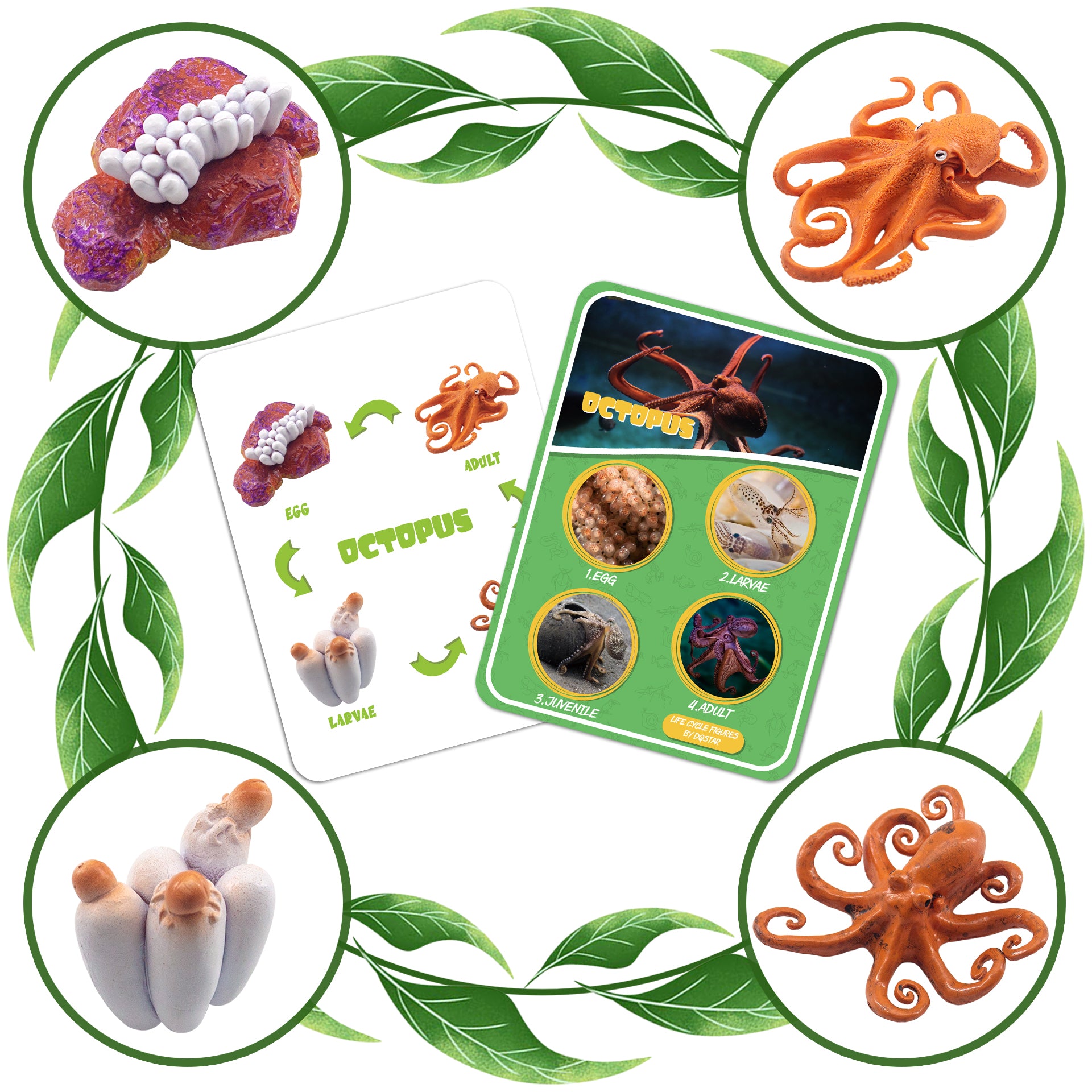 Life Cycle Figures of Frog, Chicken, Sea Turtle, Butterfly, Wasp, Locust, Science Toys kit, Animal Figures for Kids Age 3-12