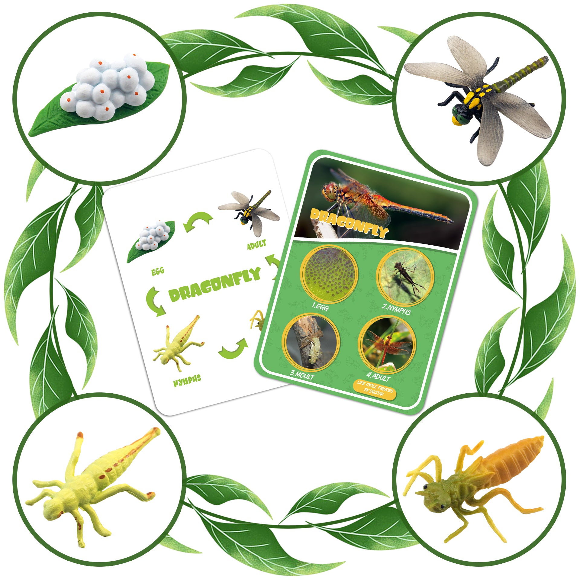 Life Cycle Figures of Frog, Chicken, Sea Turtle, Butterfly, Wasp, Locust, Science Toys kit, Animal Figures for Kids Age 3-12