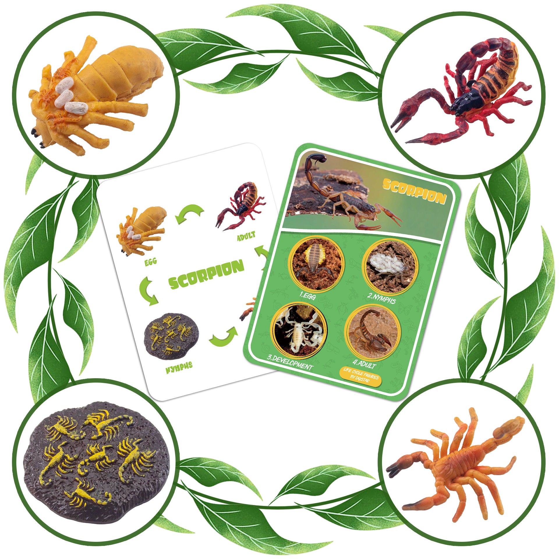 Life Cycle Figures of Frog, Chicken, Sea Turtle, Butterfly, Wasp, Locust, Science Toys kit, Animal Figures for Kids Age 3-12