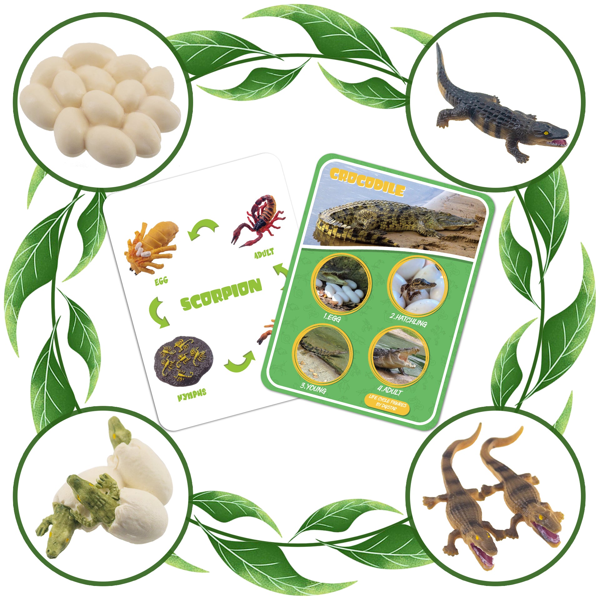 Life Cycle Figures of Frog, Chicken, Sea Turtle, Butterfly, Wasp, Locust, Science Toys kit, Animal Figures for Kids Age 3-12