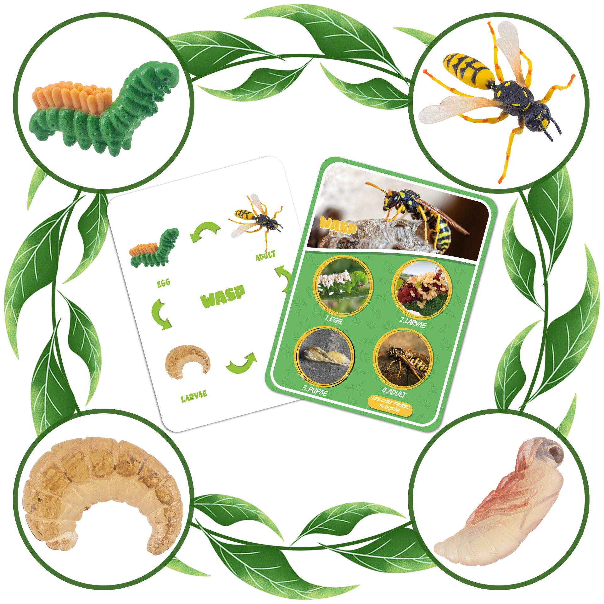Life Cycle Figures of Frog, Chicken, Sea Turtle, Butterfly, Wasp, Locust, Science Toys kit, Animal Figures for Kids Age 3-12